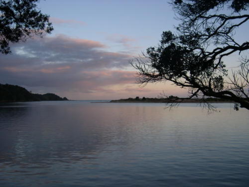 Whangarei Waterfront 