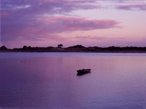 Whangarei Waterfront 
