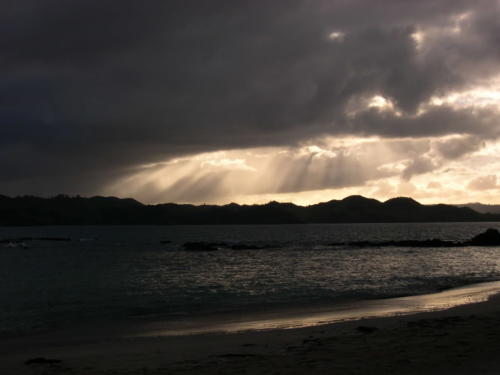 Whale Bay