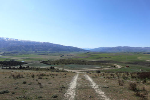 IMG 0560sm