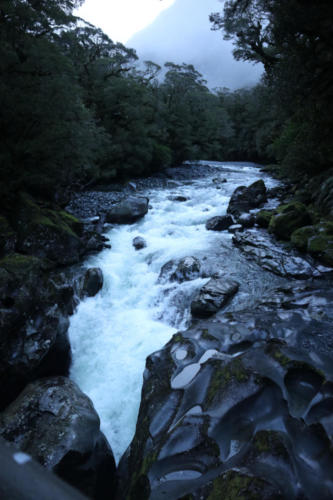 IMG 0591sm1