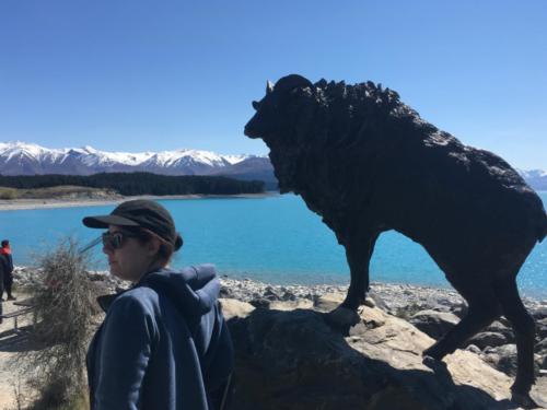 Lake Pukaki & Lindis Pass